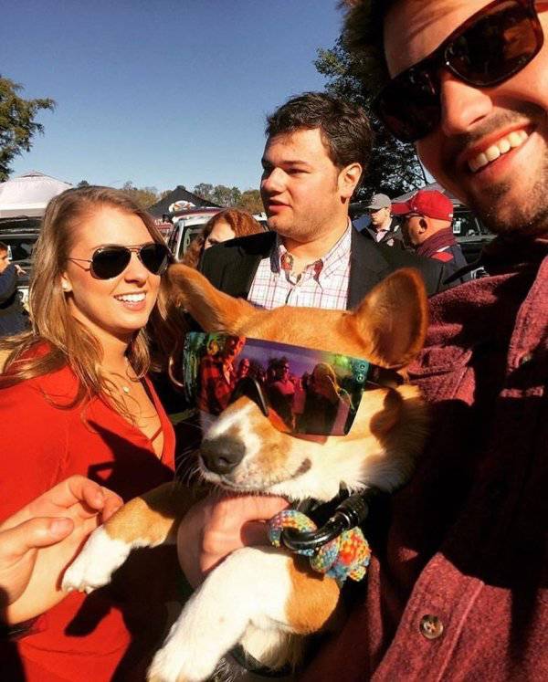 Daily Pictures. Part 1 (67 pics)