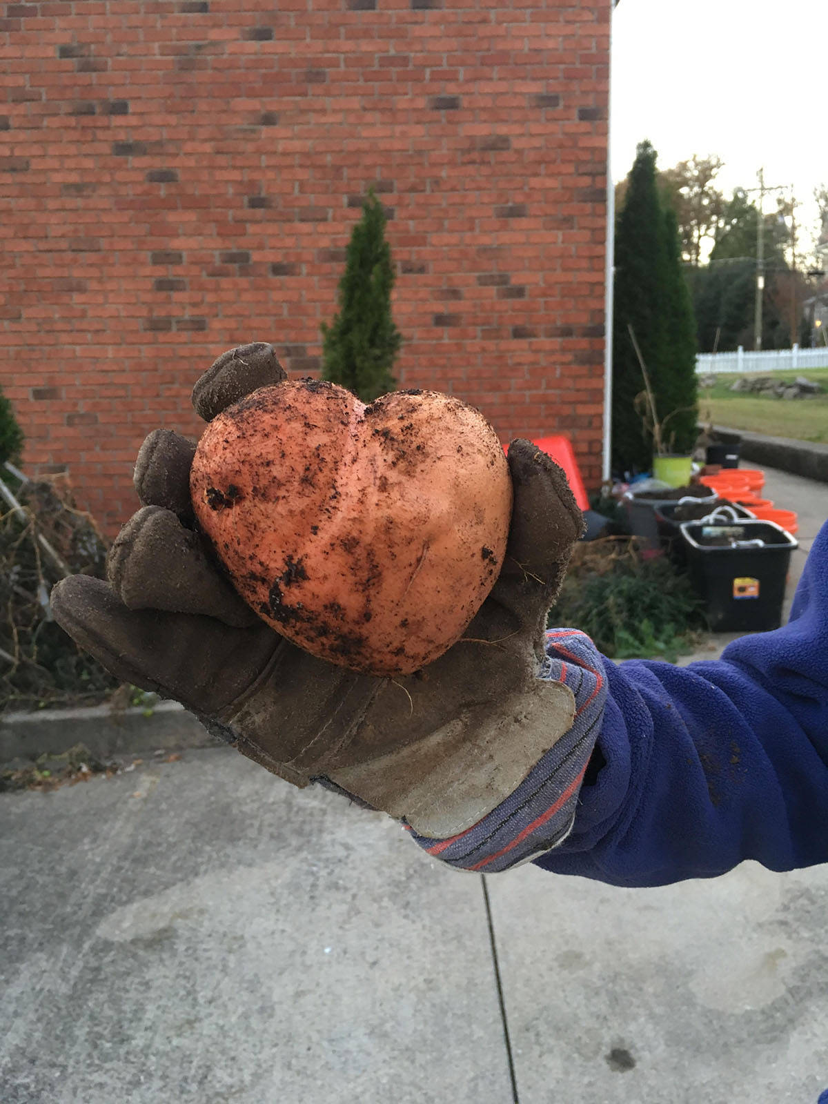 Daily Pictures. Part 1 (67 pics)