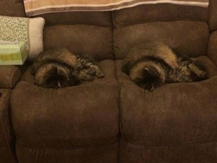 Daily Pictures. Part 1 (67 pics)