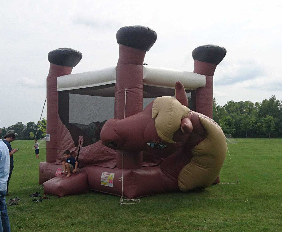 Daily Pictures. Part 2 (65 pics)