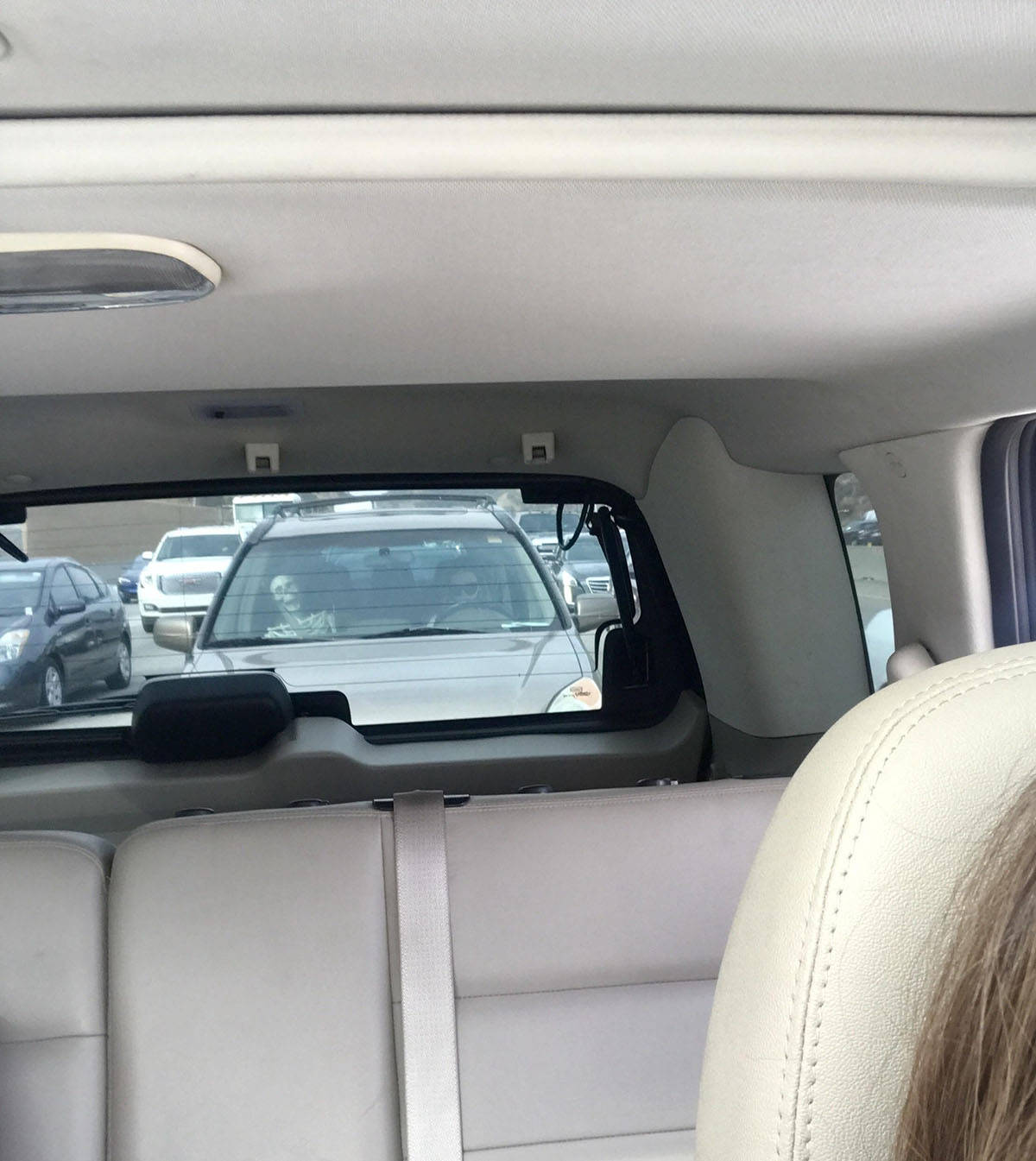 Daily Pictures. Part 1 (67 pics)