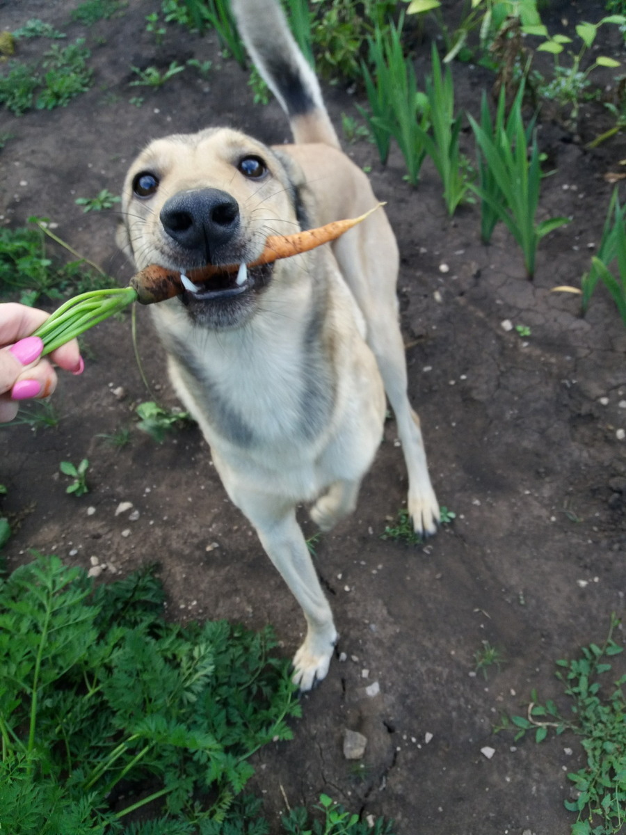 Daily Pictures. Part 2 (65 pics)