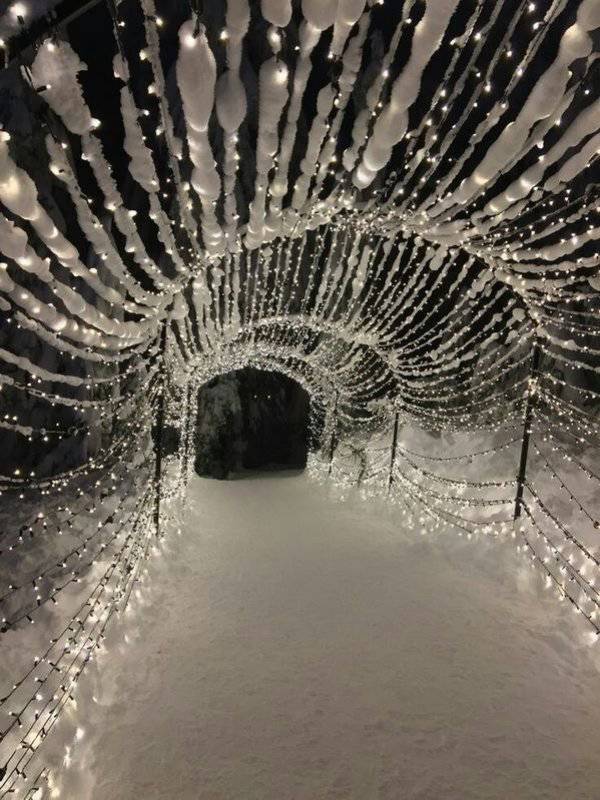 Daily Pictures. Part 1 (67 pics)