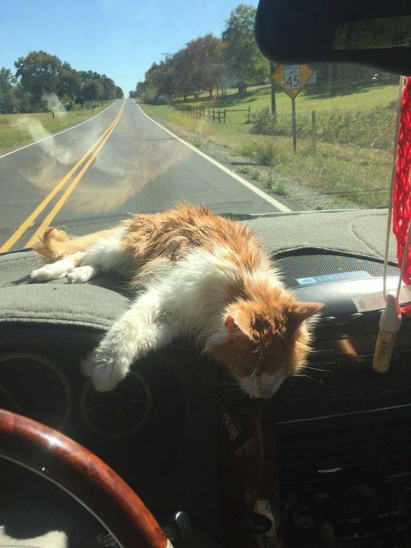 Daily Pictures. Part 1 (67 pics)