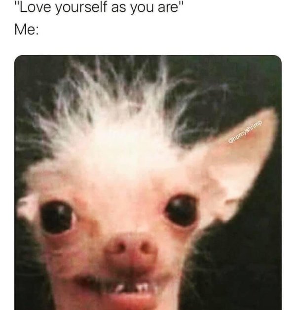 Daily Pictures. Part 2 (65 pics)