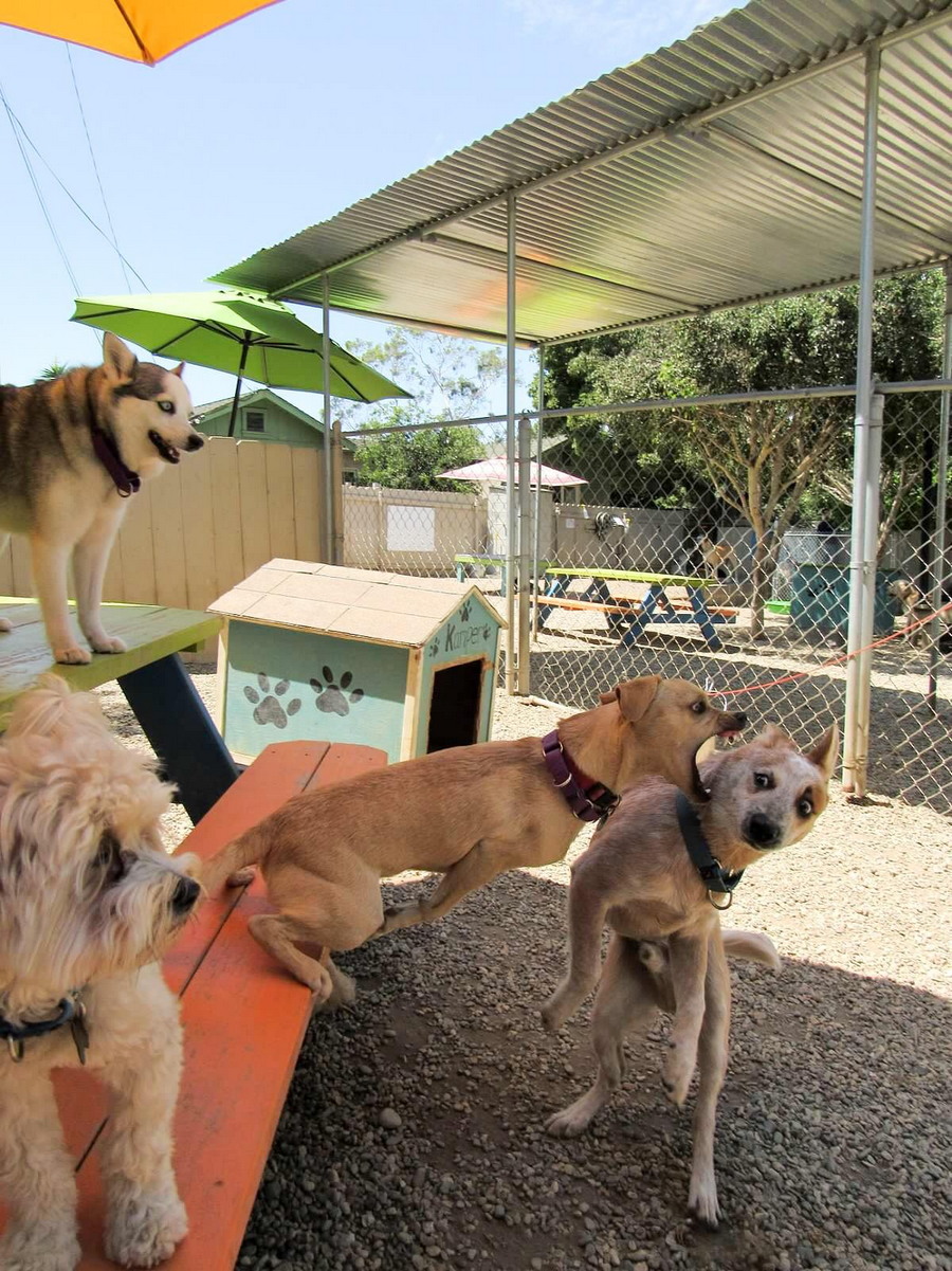 Daily Pictures. Part 2 (65 pics)