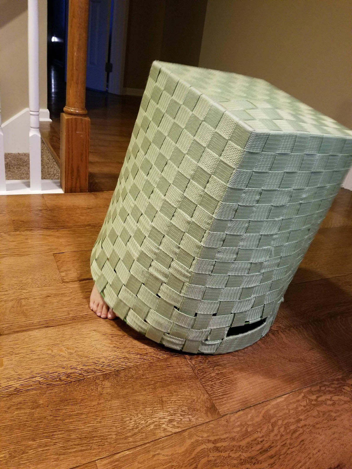 Daily Pictures. Part 2 (65 pics)