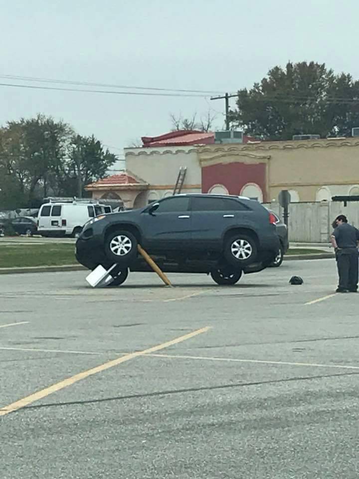 Daily Pictures. Part 2 (65 pics)