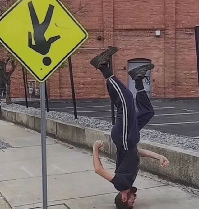 Daily Pictures. Part 2 (65 pics)