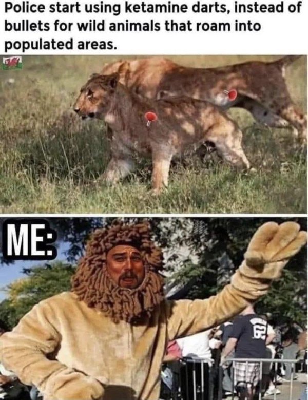 Daily Pictures. Part 2 (65 pics)