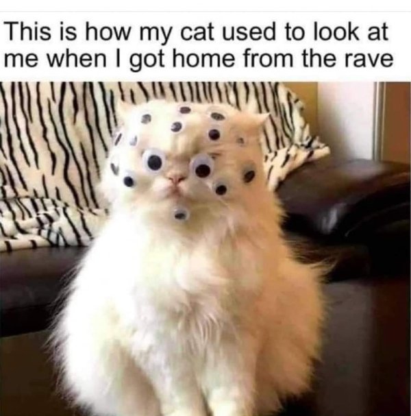 Daily Pictures. Part 2 (65 pics)