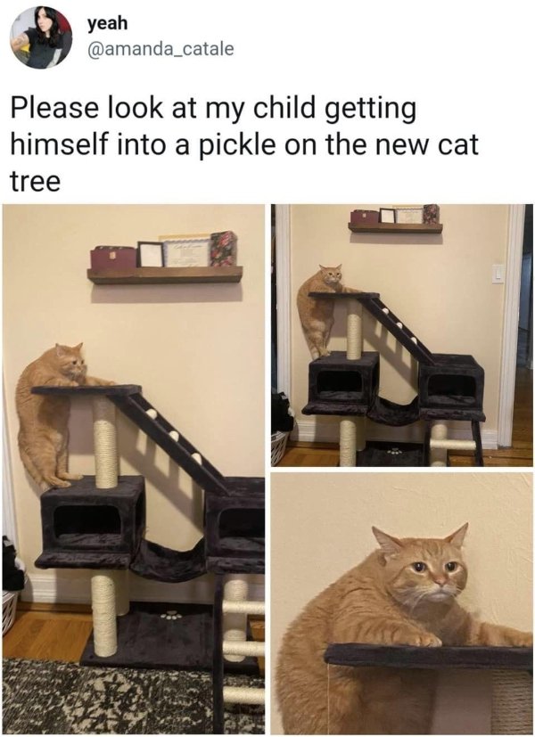 Daily Pictures. Part 2 (65 pics)