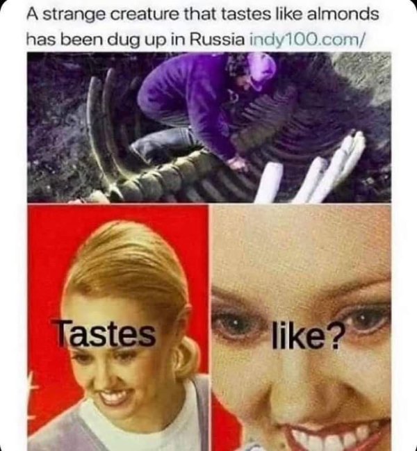 Daily Pictures. Part 2 (65 pics)