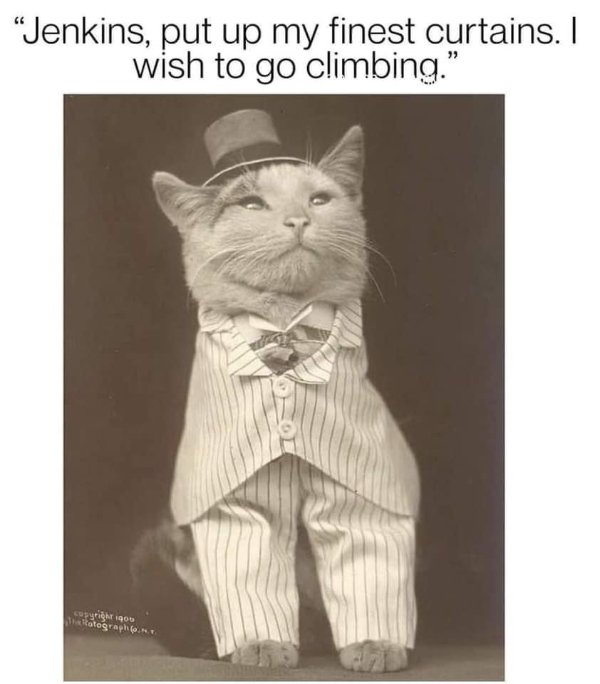 Daily Pictures. Part 2 (65 pics)