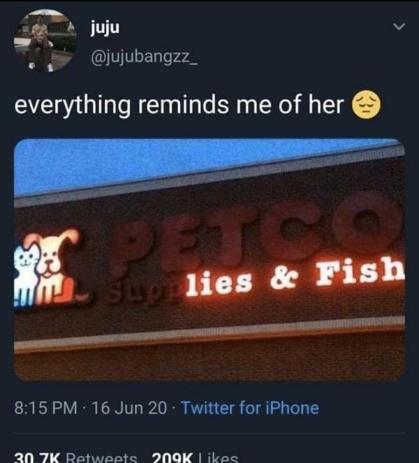 Daily Pictures. Part 2 (65 pics)