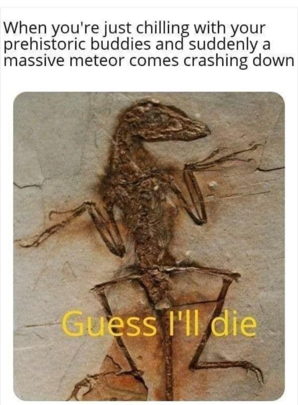 Daily Pictures. Part 2 (65 pics)