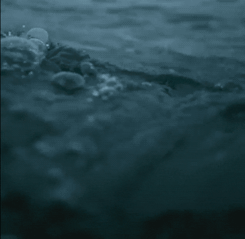 Acid GIFs, January 27 (25 gifs)