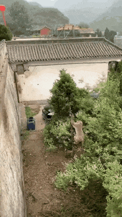 Acid GIFs, January 27 (25 gifs)