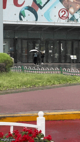 Acid GIFs, January 27 (25 gifs)