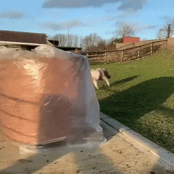 Acid GIFs, January 27 (25 gifs)