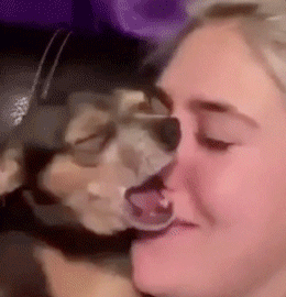 Acid GIFs, January 27 (25 gifs)