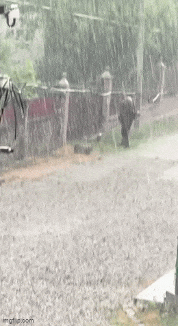 Acid GIFs, January 27 (25 gifs)