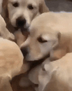 Acid GIFs, January 27 (25 gifs)