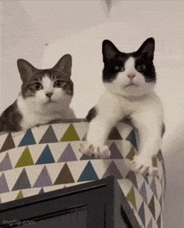 Acid GIFs, January 27 (25 gifs)