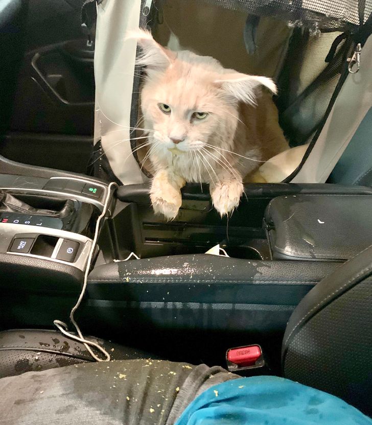 Bad Days Happen (21 pics)