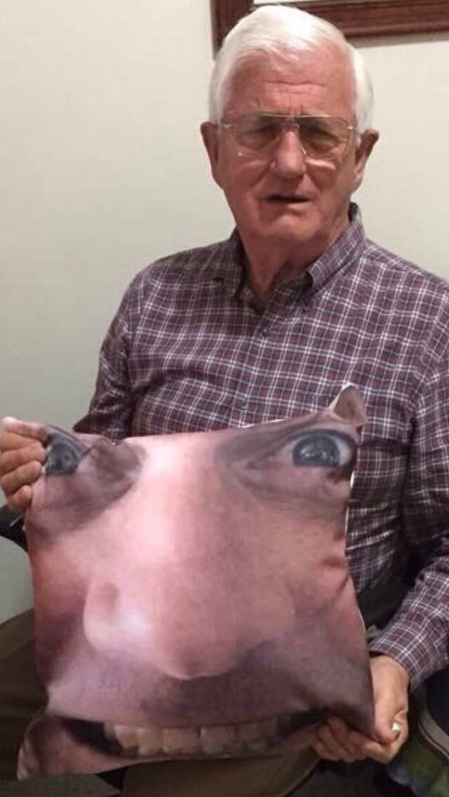 Daily Pictures. Part 1 (66 pics) Daily Pictures. Part 1 (66 pics)