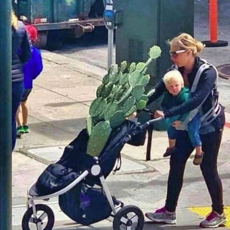 Daily Pictures. Part 1 (66 pics) Daily Pictures. Part 1 (66 pics)