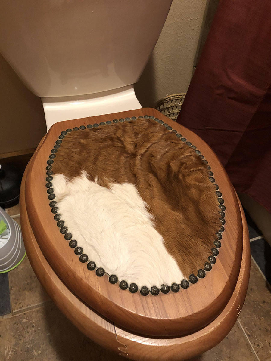 Daily Pictures. Part 1 (66 pics) Daily Pictures. Part 1 (66 pics)