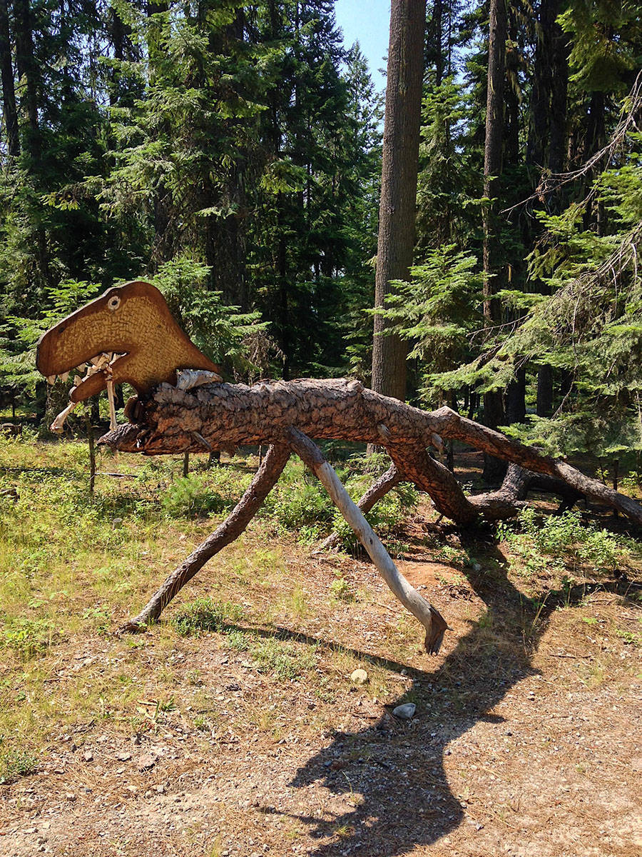 Daily Pictures. Part 1 (66 pics) Daily Pictures. Part 1 (66 pics)