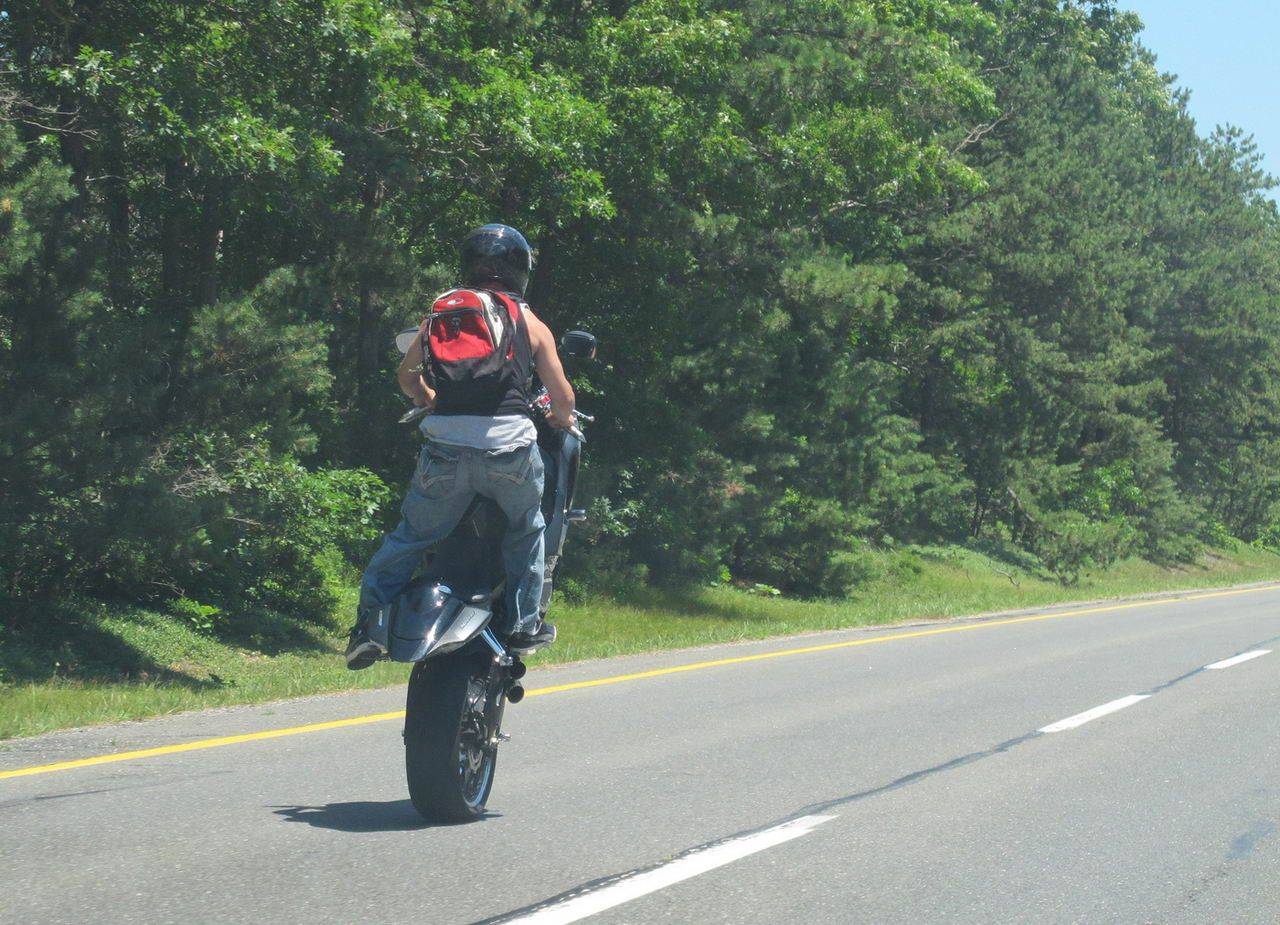 Daily Pictures. Part 1 (66 pics) Daily Pictures. Part 1 (66 pics)