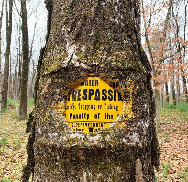 Daily Pictures. Part 1 (66 pics) Daily Pictures. Part 1 (66 pics)