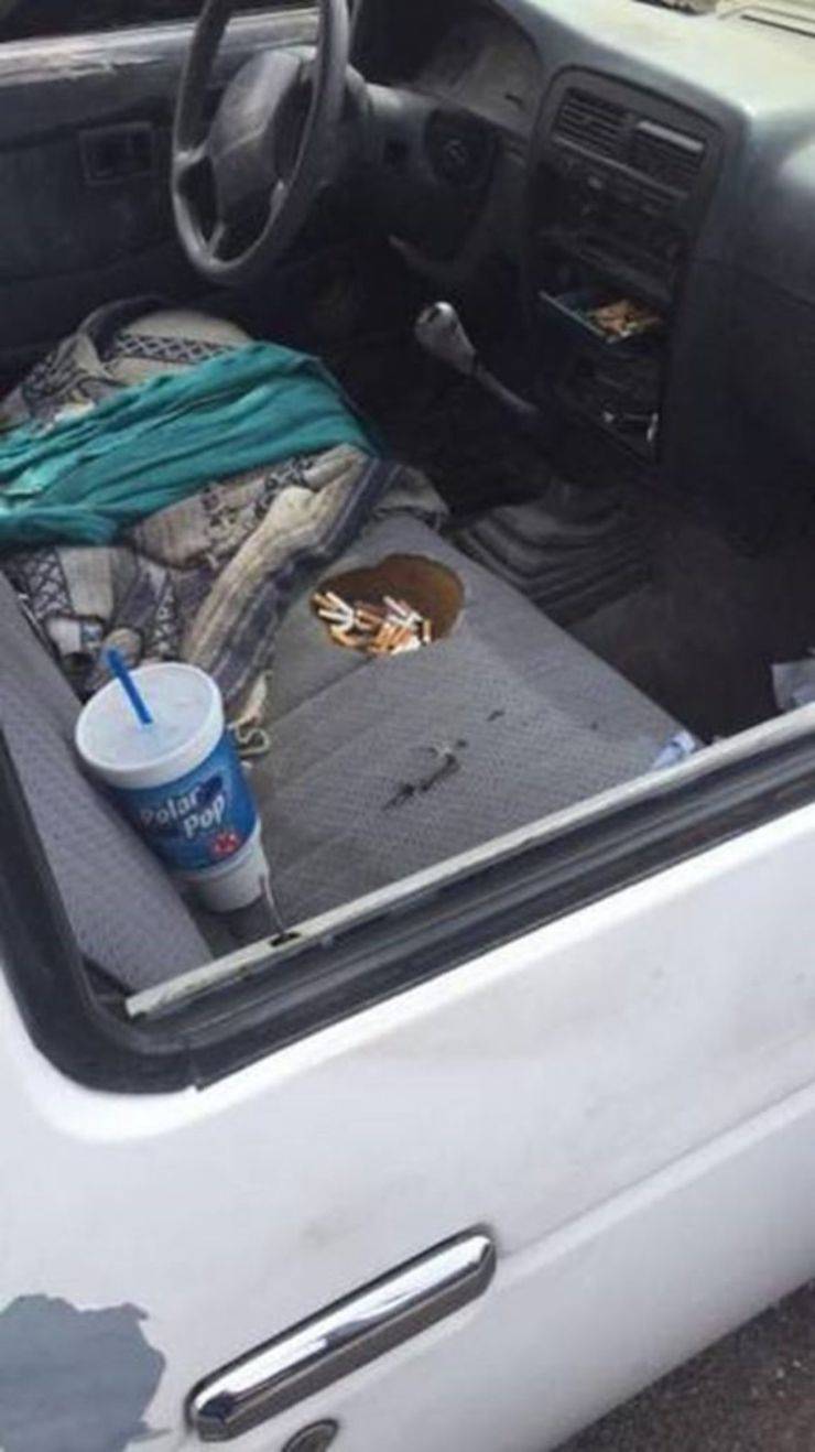 Daily Pictures. Part 1 (66 pics) Daily Pictures. Part 1 (66 pics)