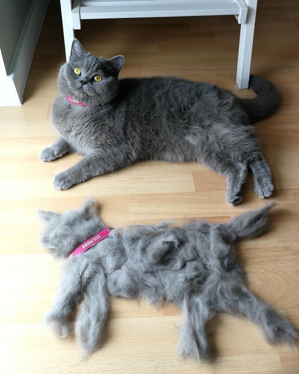 Daily Pictures. Part 1 (66 pics) Daily Pictures. Part 1 (66 pics)