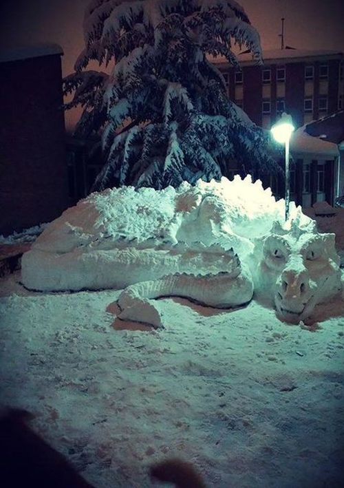 Daily Pictures. Part 1 (66 pics) Daily Pictures. Part 1 (66 pics)