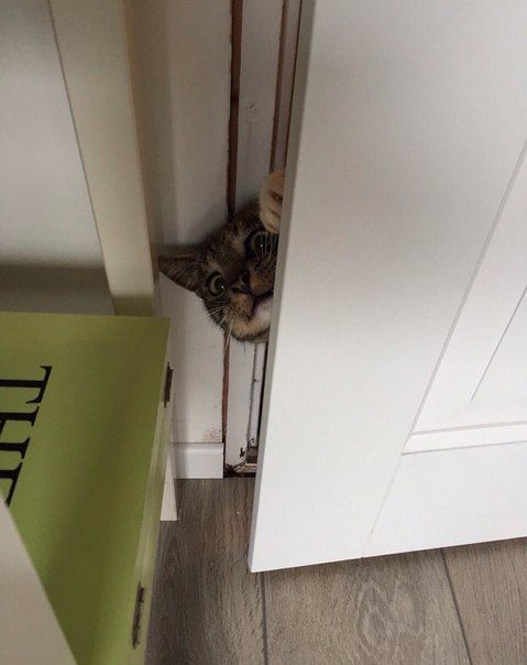 Daily Pictures. Part 1 (66 pics) Daily Pictures. Part 1 (66 pics)