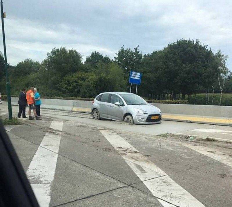 Daily Pictures. Part 1 (66 pics) Daily Pictures. Part 1 (66 pics)