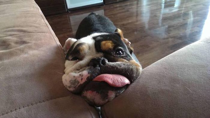 Daily Pictures. Part 1 (66 pics) Daily Pictures. Part 1 (66 pics)