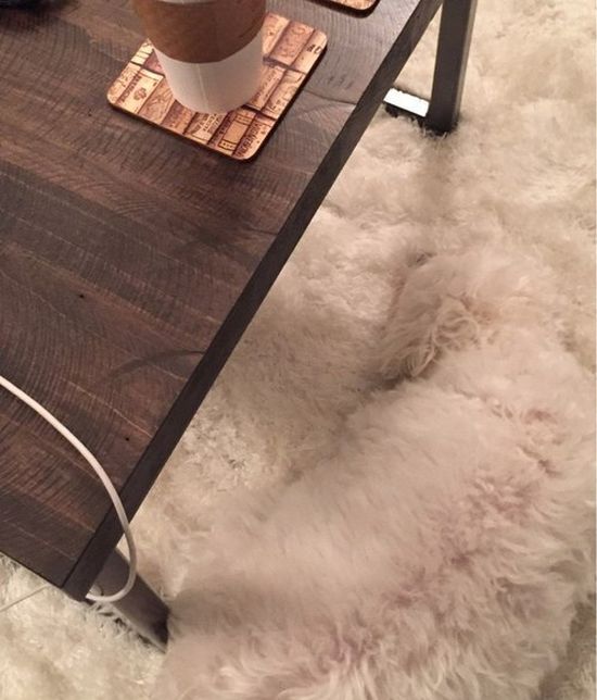 Daily Pictures. Part 1 (66 pics) Daily Pictures. Part 1 (66 pics)