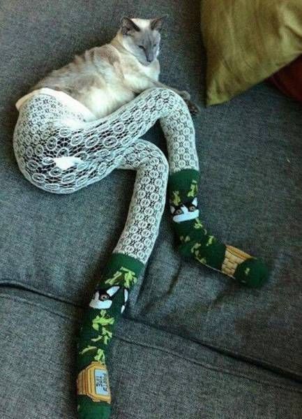 Daily Pictures. Part 1 (66 pics) Daily Pictures. Part 1 (66 pics)