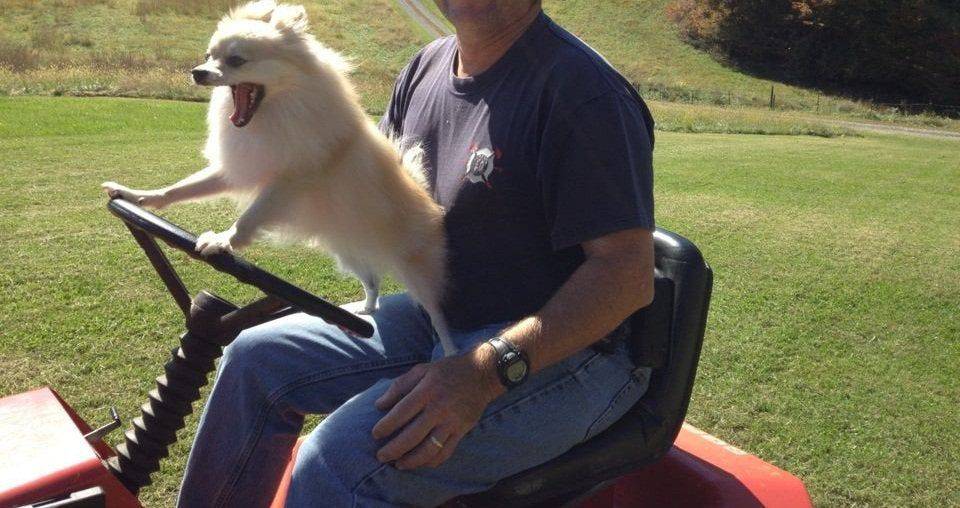 Daily Pictures. Part 2 (65 pics) Daily Pictures. Part 2 (65 pics)