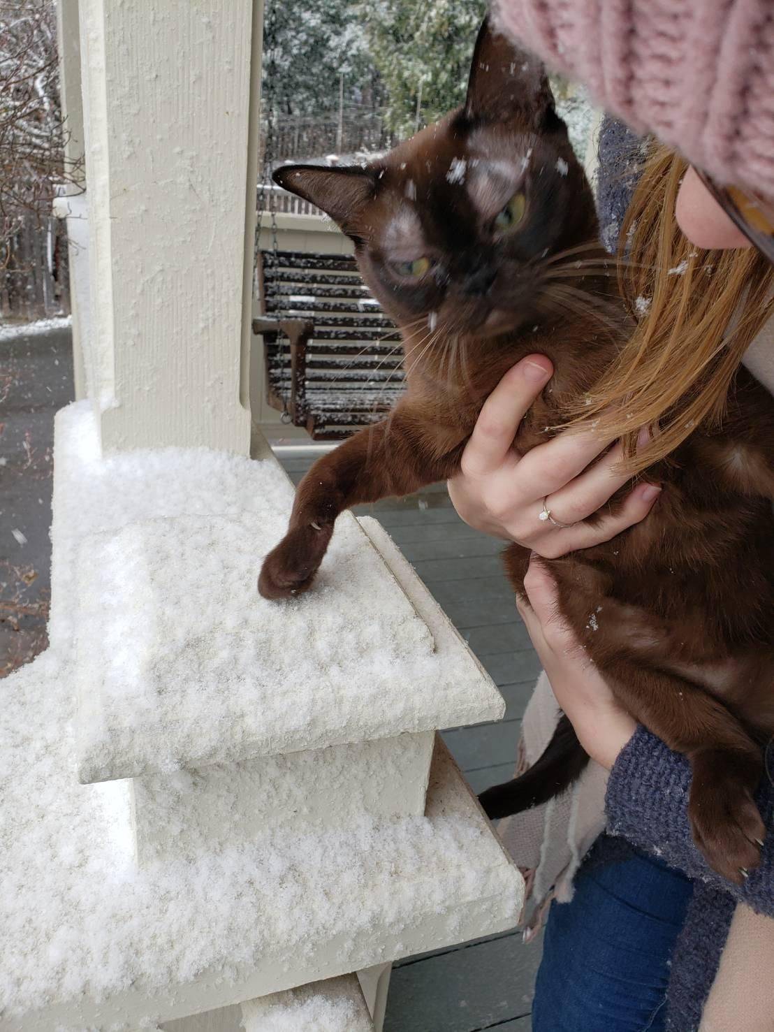 Daily Pictures. Part 2 (65 pics) Daily Pictures. Part 2 (65 pics)