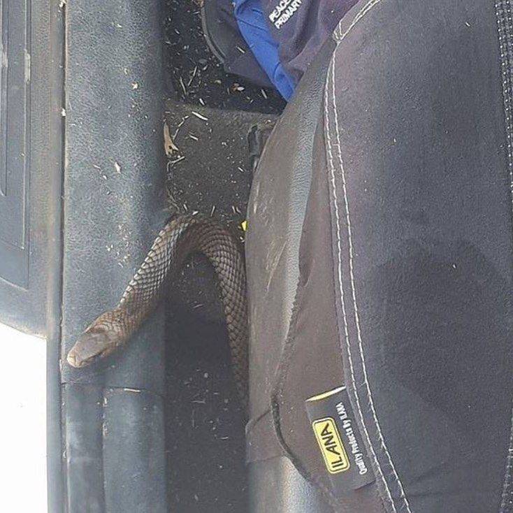 Daily Pictures. Part 1 (66 pics) Daily Pictures. Part 1 (66 pics)