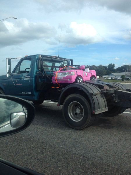 Daily Pictures. Part 2 (65 pics) Daily Pictures. Part 2 (65 pics)