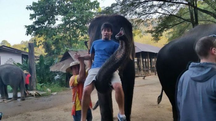 Daily Pictures. Part 2 (65 pics) Daily Pictures. Part 2 (65 pics)