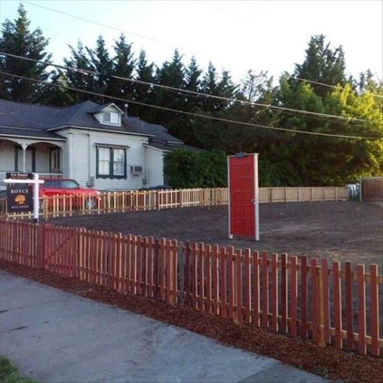 Daily Pictures. Part 1 (66 pics) Daily Pictures. Part 1 (66 pics)