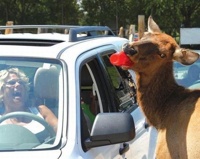 Daily Pictures. Part 1 (66 pics) Daily Pictures. Part 1 (66 pics)